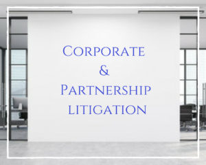 Corporate and Partnership Litigation