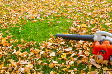 Leaf blower; Business lawyer